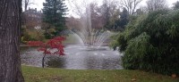 20251130_105047.jpg