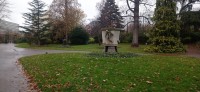 20251130_105251.jpg