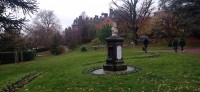 20251130_105934.jpg