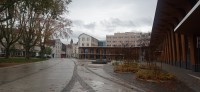 20251130_121624.jpg