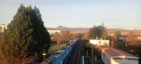 20251201_083618.jpg