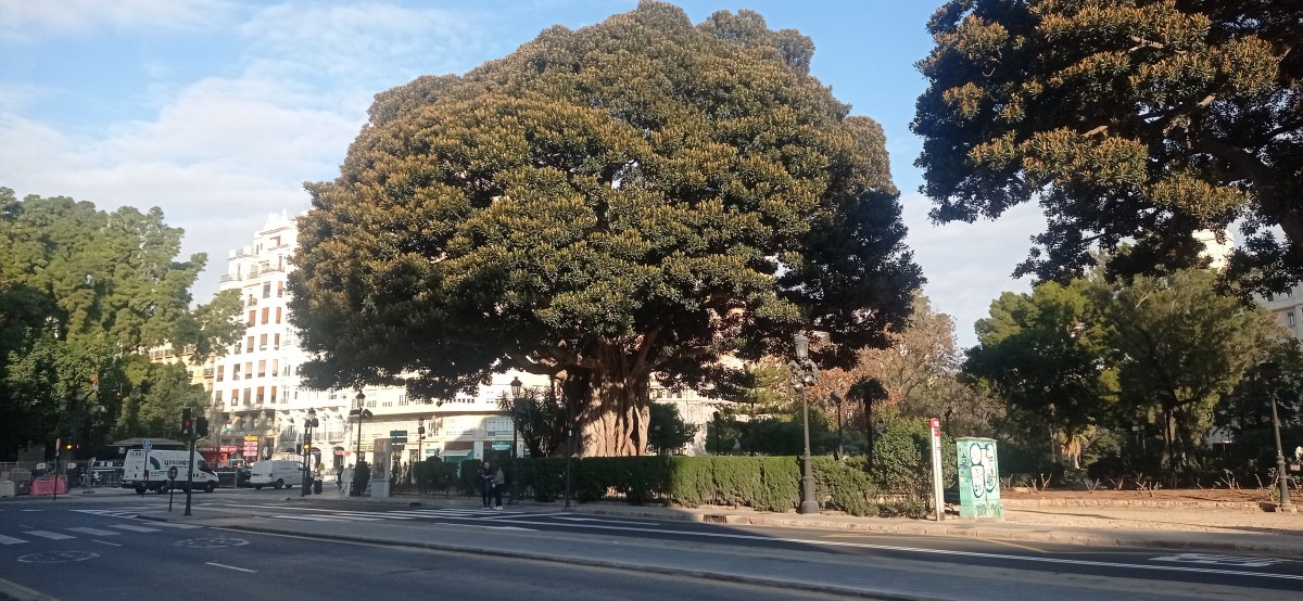 20251212_102738.jpg