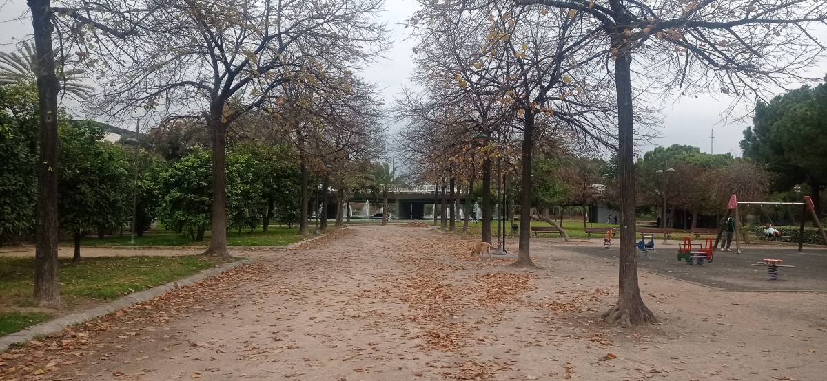 20251213_114903.jpg