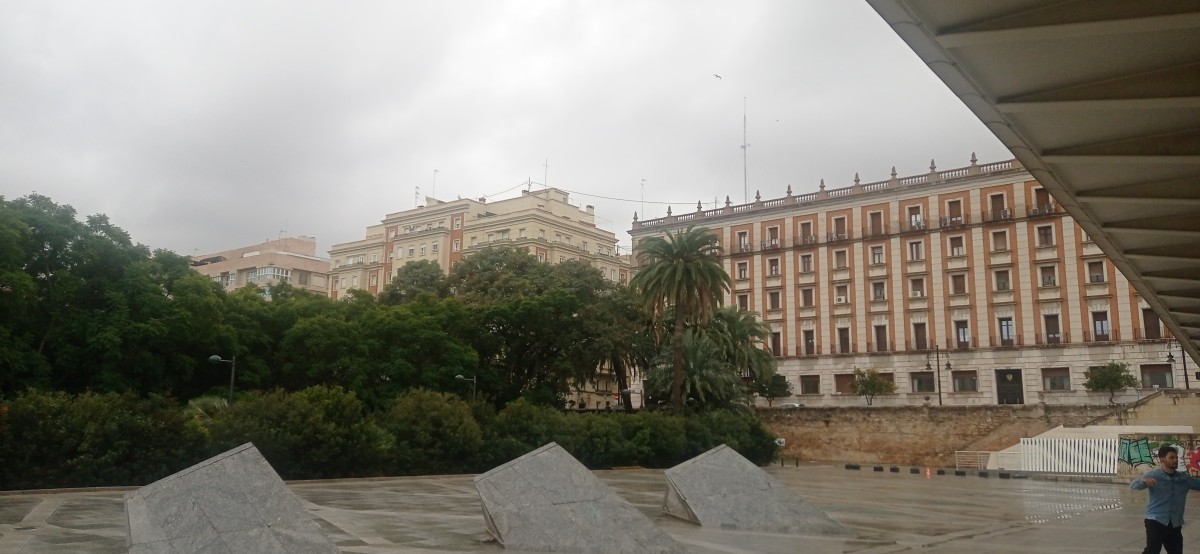 20251213_123000.jpg