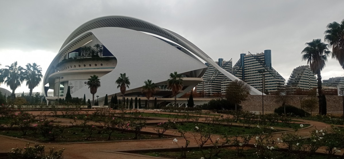 20251213_141012.jpg