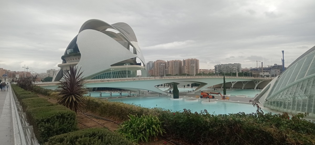 20251213_142447.jpg