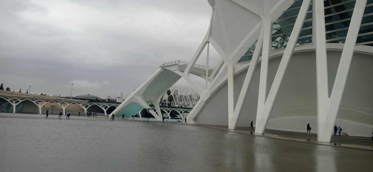 20251213_144121.jpg