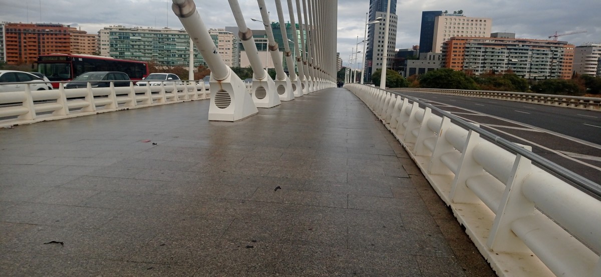 20251213_145457.jpg