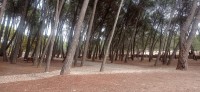 20251212_131504.jpg