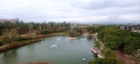20251213_111602.jpg