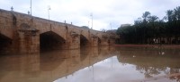 20251213_123610.jpg