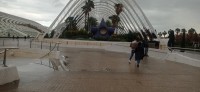 20251213_142243.jpg