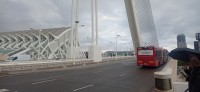 20251213_145240.jpg