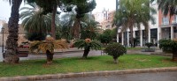 20251214_100852.jpg