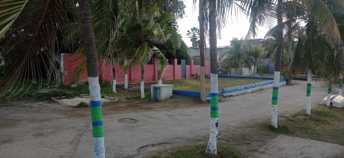 20260121_085441.jpg