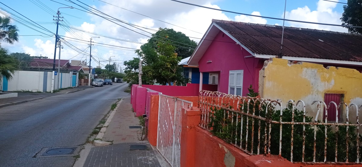 20260121_091636.jpg