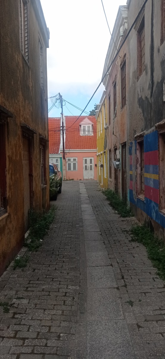 20260122_105703.jpg