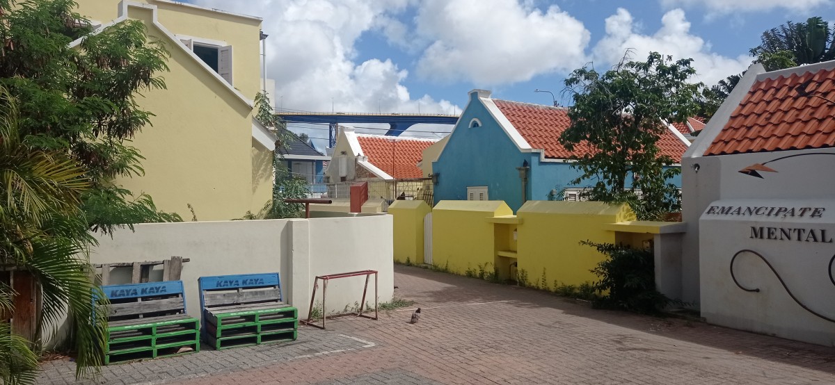 20260123_112324.jpg