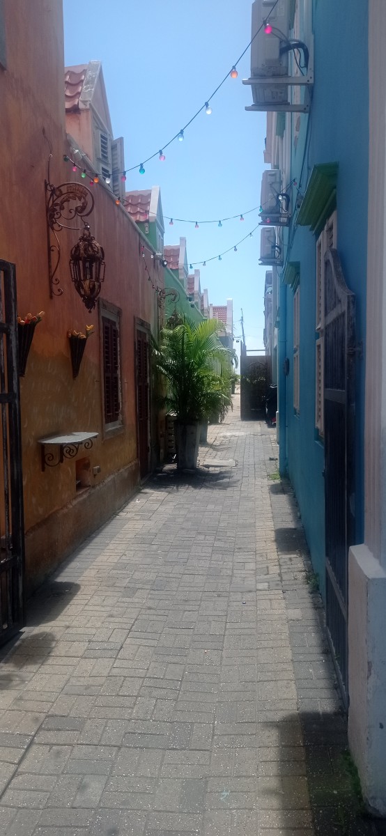 20260123_133135.jpg