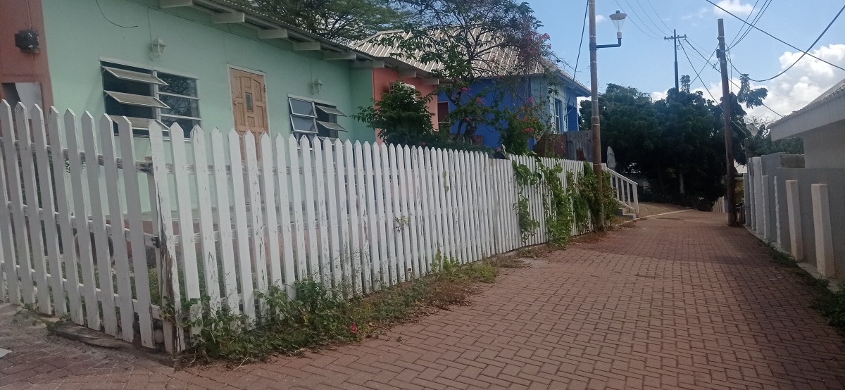 20260124_110648.jpg
