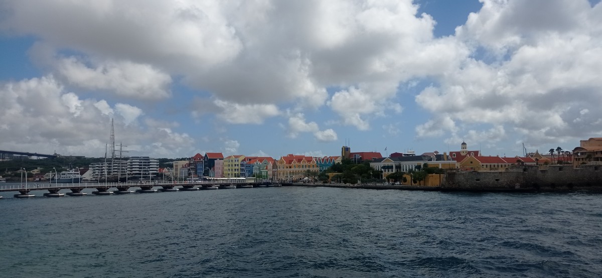 20260124_115545.jpg