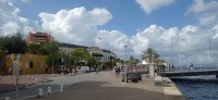 20260121_095419.jpg