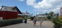 20260121_115905.jpg