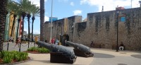 20260121_120339.jpg