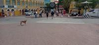 20260121_121329.jpg