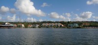 20260122_091412.jpg