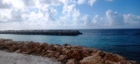 20260122_094626.jpg