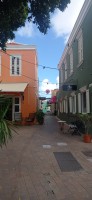20260123_110028.jpg
