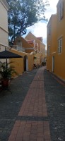 20260123_110554.jpg