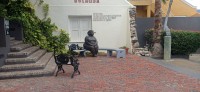 20260123_110857.jpg