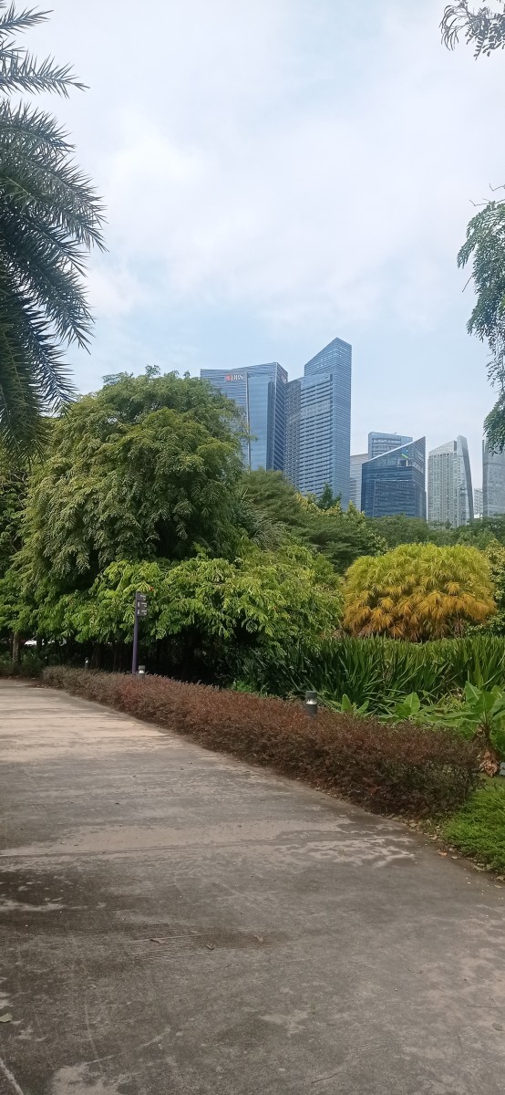 20260212_112450.jpg