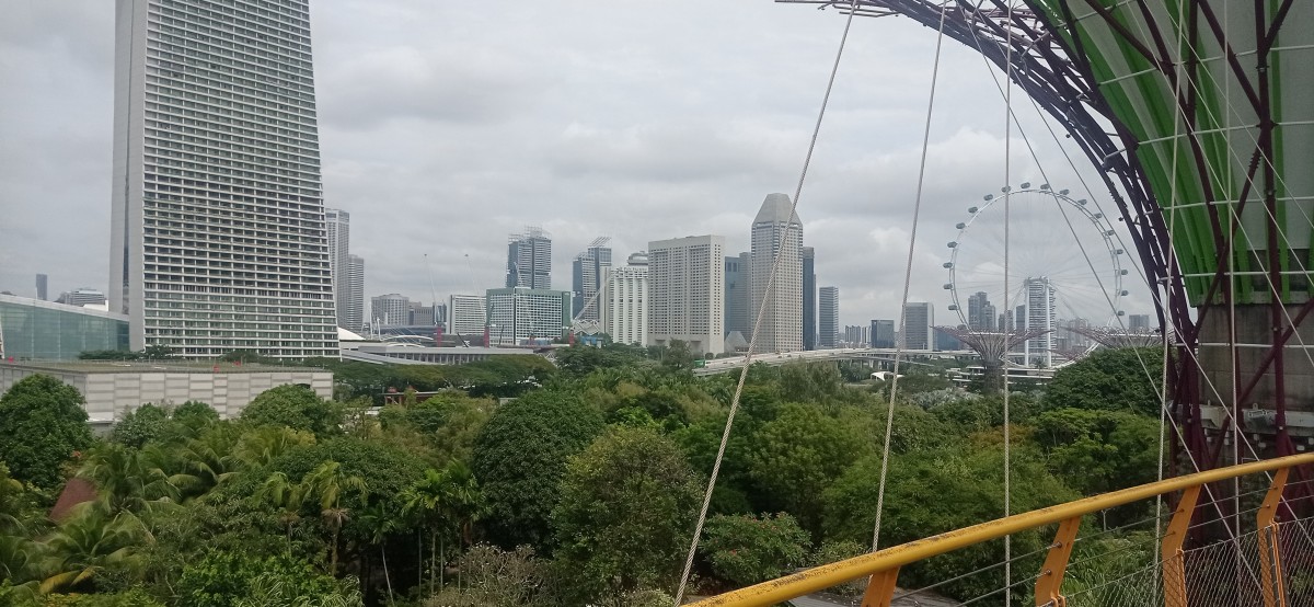 20260212_114926.jpg