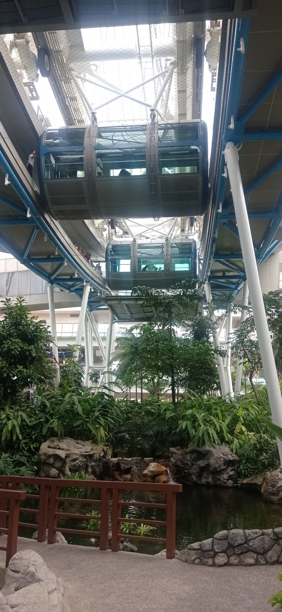20260212_124821.jpg