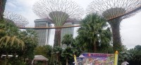 20260212_114446.jpg